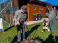 IMG 4563