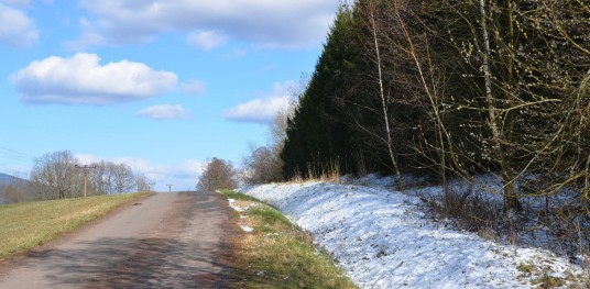 069 DSC 0069